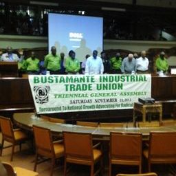 BITU successfully hosts Triennial General Congress November 23 2013